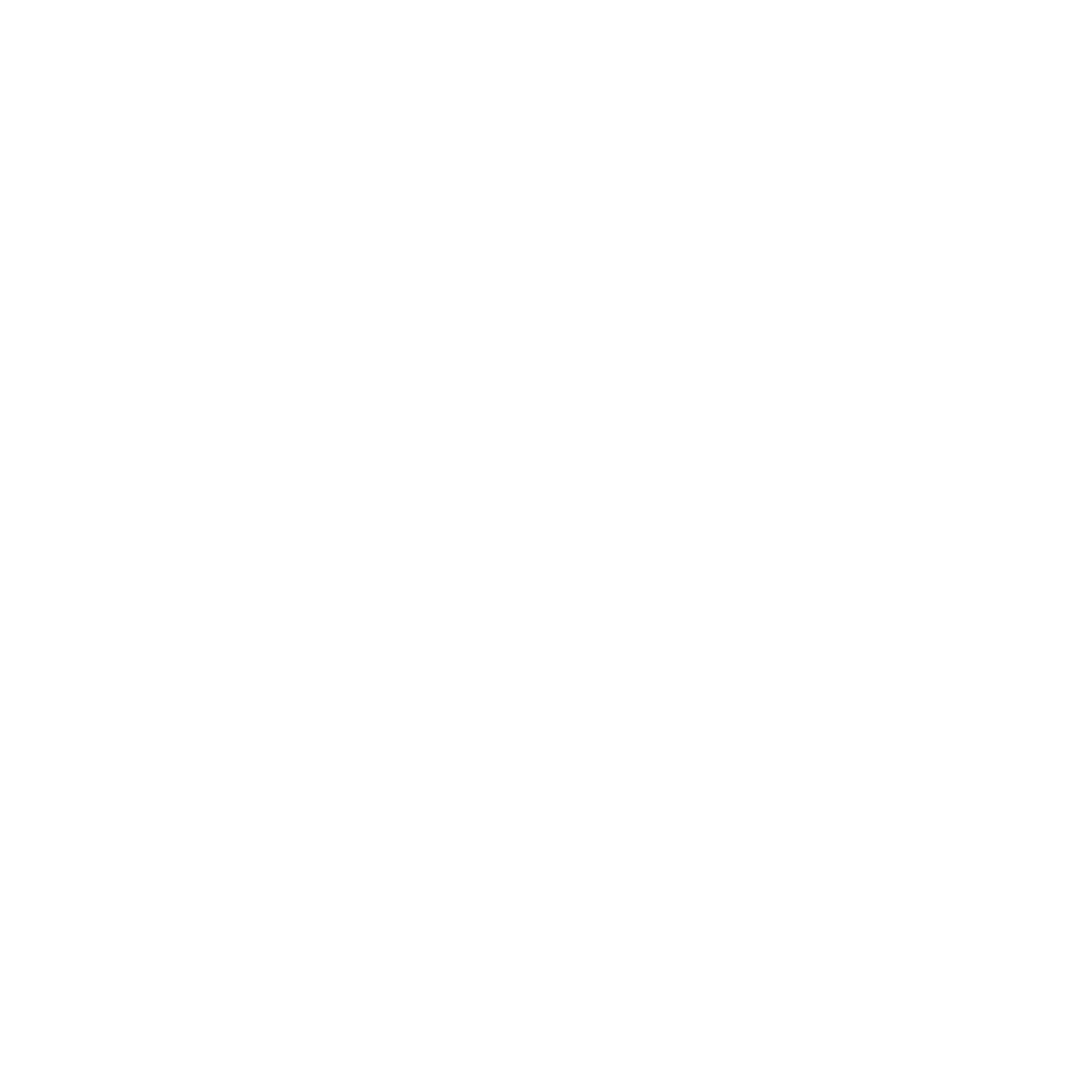 BMW-1.png
