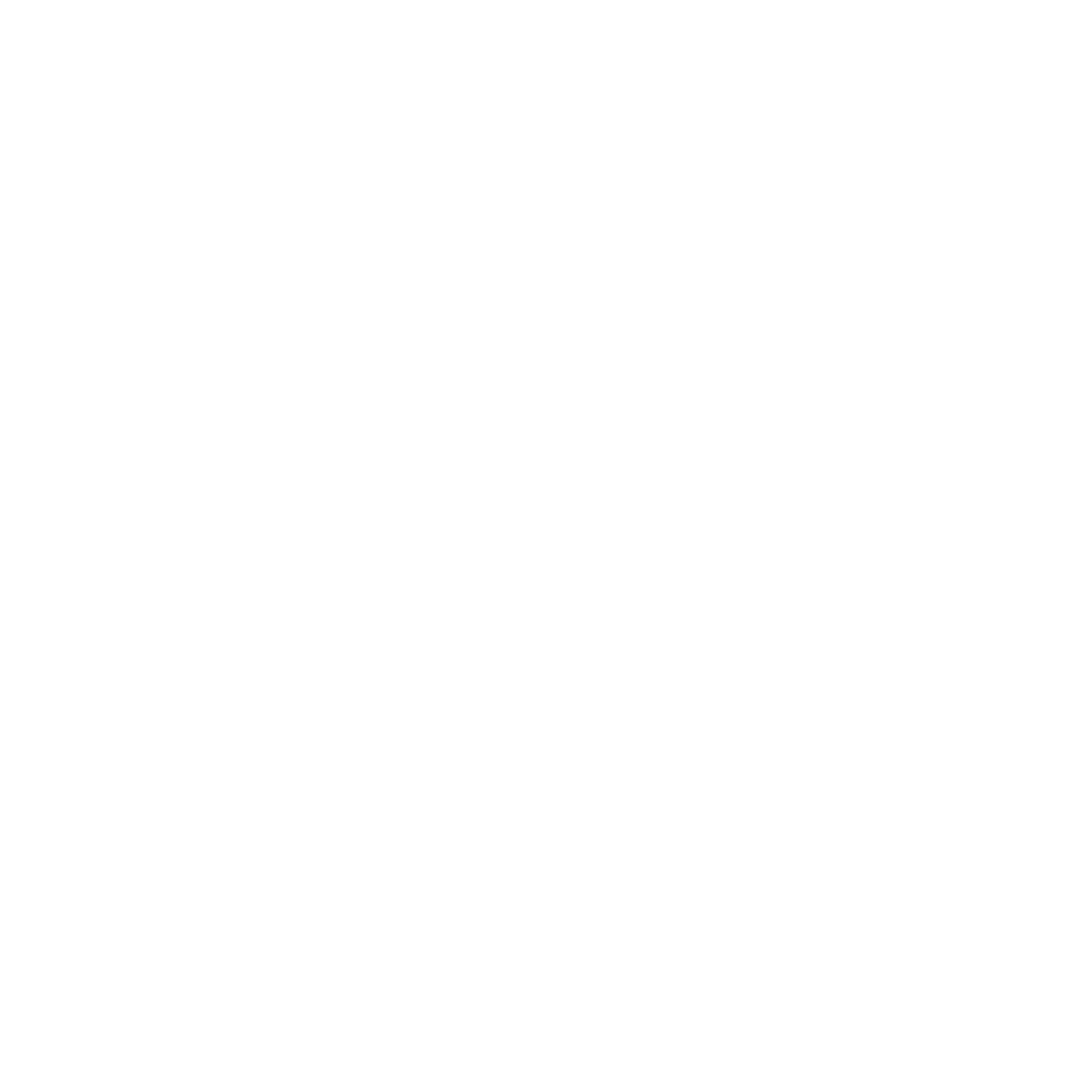 HYUNDAI-1.png